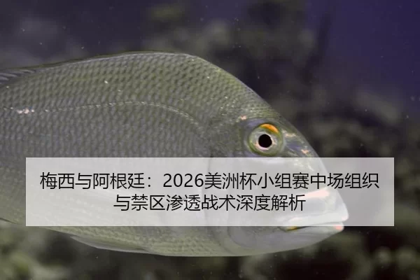 梅西与阿根廷：2026美洲杯小组赛中场组织与禁区渗透战术深度解析