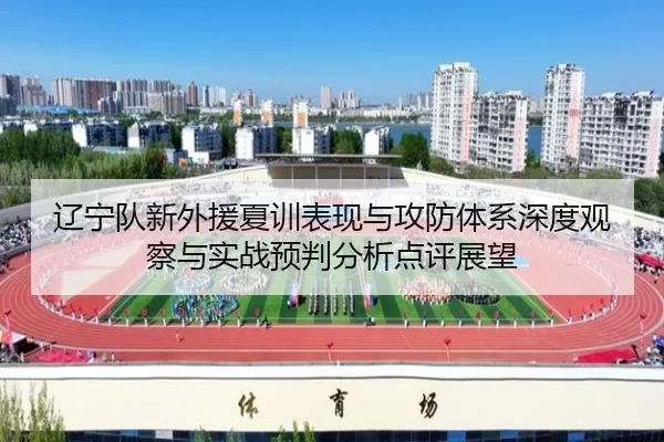 辽宁队新外援夏训表现与攻防体系深度观察与实战预判分析点评展望