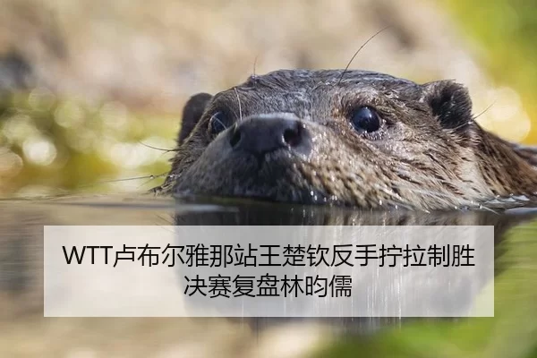 WTT卢布尔雅那站王楚钦反手拧拉制胜 决赛复盘林昀儒